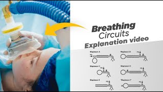 Breathing circuits  Classification amp Uses [upl. by Darra988]