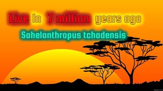 Life 7 Million Years Ago A Day in the Life of Sahelanthropus Tchadensis [upl. by Magdalena]