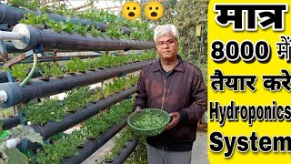 सिर्फ 8000₹ में छत पर तैयार करे इतना बड़ा Hydroponics system और तोड़े बहुत सारी सब्जिया। [upl. by Otreblon]