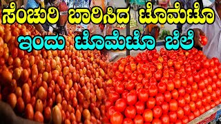 Today Tomato Price  Karnataka Vegetables Price  YOYO Kannada News [upl. by Hnim]