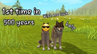 PLAYING WILDCRAFT AFTER 2 YEARS 😂 SUPER FUNNY Wild Craft Animal Sim Online 3D [upl. by Rehpotsirc]