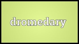 Dromedary Meaning [upl. by Myra]