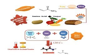 Acrylamide Risk in Food Food Safety Tips [upl. by Milson539]