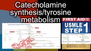 Phenylketonuria  phenylalanine embryopathy in HindiUrdu by first aid for USMLE step 1 [upl. by Aenotna595]