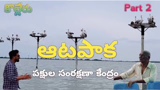 Atapaka Bird Sanctuary  Kolleru Bird Sanctuary  birds lake village godavari konaseema [upl. by Michelina]