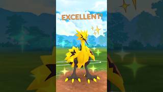 ✨ Shiny GALARIAN ZAPDOS in Pokemon GO [upl. by Toomay]