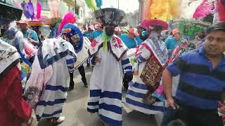 Banda del toro y chinelos cocoyoc [upl. by Garcon953]