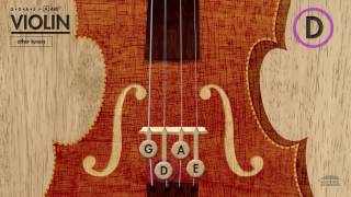 Violin Tuner GDAE in A 440Hz [upl. by Yonit813]