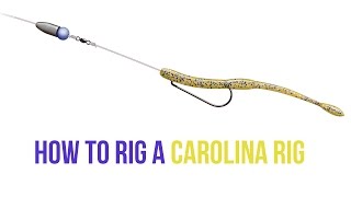 How to Rig a Carolina Rig 2015 [upl. by Aseneg155]