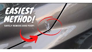 How to Safely Remove Bird Poop from Car  The ONLY Product You Will Ever Need [upl. by Adnwahsar]