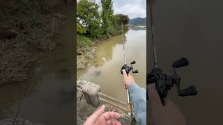 shimano scorpion dc casting [upl. by Tremayne823]