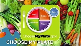 Choose My Plate Dietary Guidelines [upl. by Strain]