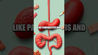 Understanding Our Pancreas The Unsung Hero [upl. by Reggi]