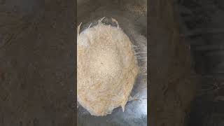 Shemai Recipe  Vermicelli Recipe  Semai Payesh shorts [upl. by Uttica]