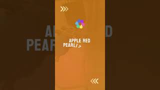 Candy Apple Red Pearl Paint From TheCoatingStorecom automotivepaint carpaintjob [upl. by Adon]