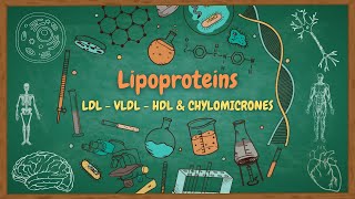 lipids 8 Lipoproteins LDL VLDL  HDL amp CHYLOMICROES  شرح البروتينات الشحمية بالعربي [upl. by Erhart]