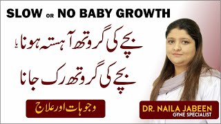 Bachy Ki Growth Na Hona  No Baby Growth  Causes of Baby Growth Stop During Pregnancy Urdu [upl. by Adnawak]