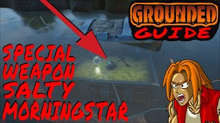 How to Unlock Salty Morningstar in Grounded [upl. by Brianna]