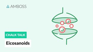 Eicosanoids Formation Function and Subclasses [upl. by Dymphia]