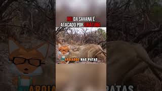 Criatura ataca animais da savana  PARTE FINAL animaisselvagens criatura curiosidadeanimal [upl. by Bollinger]