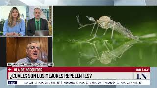 Brote histórico de dengue cuáles son los mejores repelentes para prevenirlo [upl. by Einnaf305]