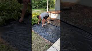 Yard transformation lawncare lawnmaintenance lawn yard landscaping Transformationsatisfying [upl. by Kneeland]