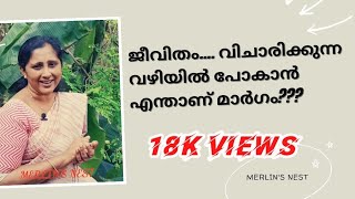 ജീവിതം വിചാരിക്കുന്ന വഴിയിൽ പോകാൻ 👍 Merlins Nest Merlintmathew [upl. by Curley]