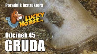 Porady LuckyHorse pl  Odc45  Gruda [upl. by Carrick]