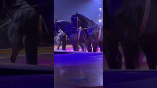 Pferdeshow Circus Krone ​⁠​⁠Bad Kissingen Show vielen Dank Hubert Fella [upl. by Zaragoza]