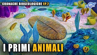 I Primi Animali  Proterozoico  Cronache Biogeologiche Ep 2 [upl. by Nave]