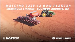 Maestro 12SV 12 Row Planter  Shamrock Station [upl. by Jamin]