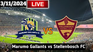 Marumo Gallants Vs Stellenbosch Live Match Today [upl. by Eecrad]