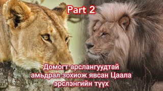 Сүүлгүй Цаала эрслэнгийн тэмцэл Парт2 Гоё түүхүүд Goe tuuhuud mongol heleer kino duu Arslangiin tuuh [upl. by Nelhsa]