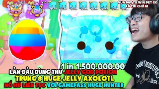 HÙNG AKIRA PAY TO WIN PETS GO DÙNG CẢ 2 LOẠI GOD POTION BUFF LUCKY TRÚNG 8 HUGE JELLY AXOLOTL LUÔN [upl. by Aiehtela]