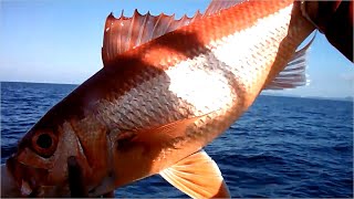 Japanese Fishermans Small Offshore Fishing Boat [upl. by Willmert]