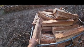 Timberwolf Alpha 6 splitting 14 cord of firewood into ibc tote [upl. by Kcirederf]