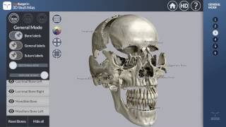 General Mode  AppSurgeOn 3D Skull Atlas [upl. by Uah]