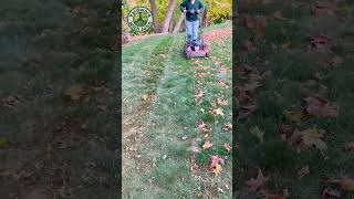 Mowing the Lawn and Mulching Maple Leaves [upl. by Citron]