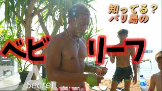 【バリ島サーフィン】ベビーリーフってどんなポイント？レベルや注意点も解説！Baby Reef Bali Island [upl. by Dominick645]