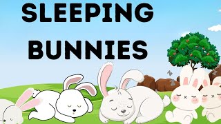 Sleeping Bunnies  More Nursery Rhymes and Kids Songs  Cartoon Animation for Children [upl. by Elon98]