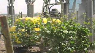 Sprayer Vineyard Recycling Sprayer LIPCO [upl. by Ginnie]