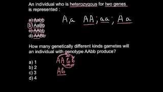 Heterozygosity Homozygosity problem and solution [upl. by Eedyak]