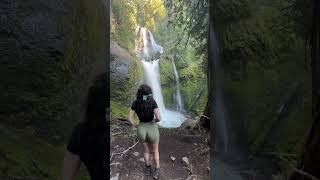 Beautiful waterfall in Oregon youtubeshorts nature beautifuldestinations viralvideo [upl. by Gilchrist435]