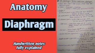 Diaphragm  Thoracoabdominal Diaphragm  Anatomy  By Namita Ussara [upl. by Auqenaj]