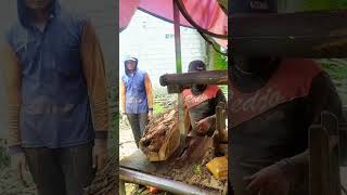 NGERI‼️ Bonggol Jati Di Rajang Bandsaw Rakitan [upl. by Elyn]