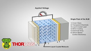 Polarization Dependence of PhaseOnly Spatial Light Modulators SLM  Thorlabs Insights Topic Focus [upl. by Harelda]