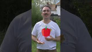 🍅 5 légumes à faire pousser sur un balcon en pots en bacs ou en jardinière⏐Dr Jonquille et Mr Ail [upl. by Duomham]