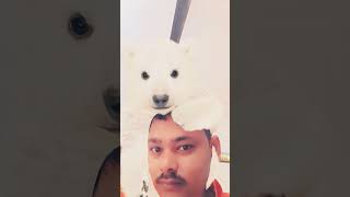 Chhor denge jamaane ki sari khushishortvideo dosti bear cuteanimals youtubeshorts [upl. by Annie]