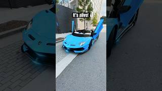 It Speaks Lamborghini SVJ [upl. by Etnod]