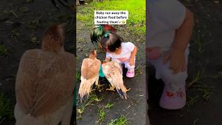 Catch me first before I feed You🤣 funny chicken shortsfeed [upl. by Jagir]